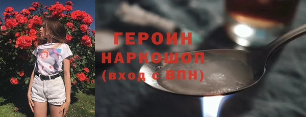 хмурый Алексин