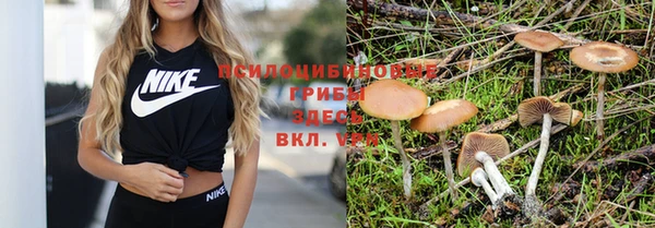 хмурый Алексеевка