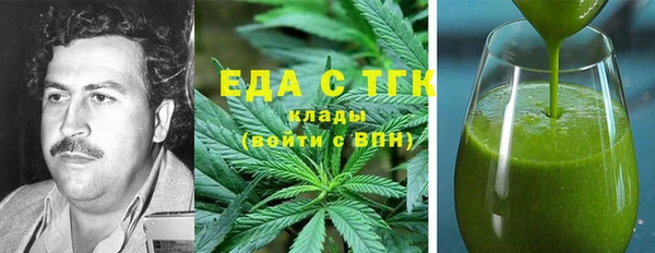 хмурый Алексин