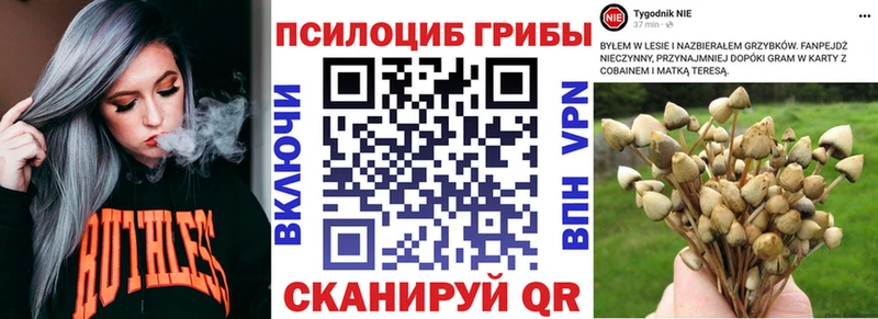 маркетплейс состав  Самара  Псилоцибиновые грибы MAGIC MUSHROOMS 